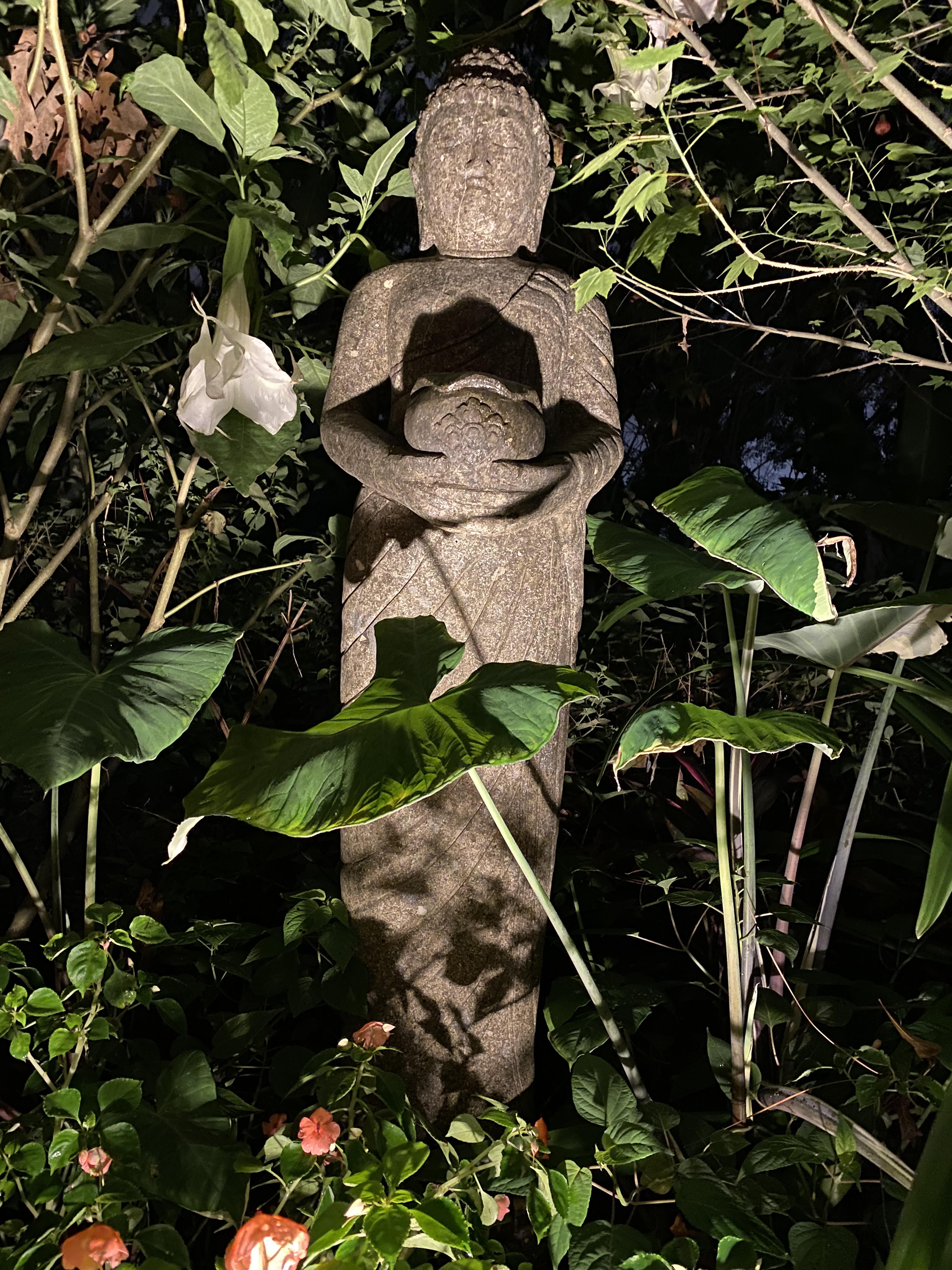 Image 3jpg